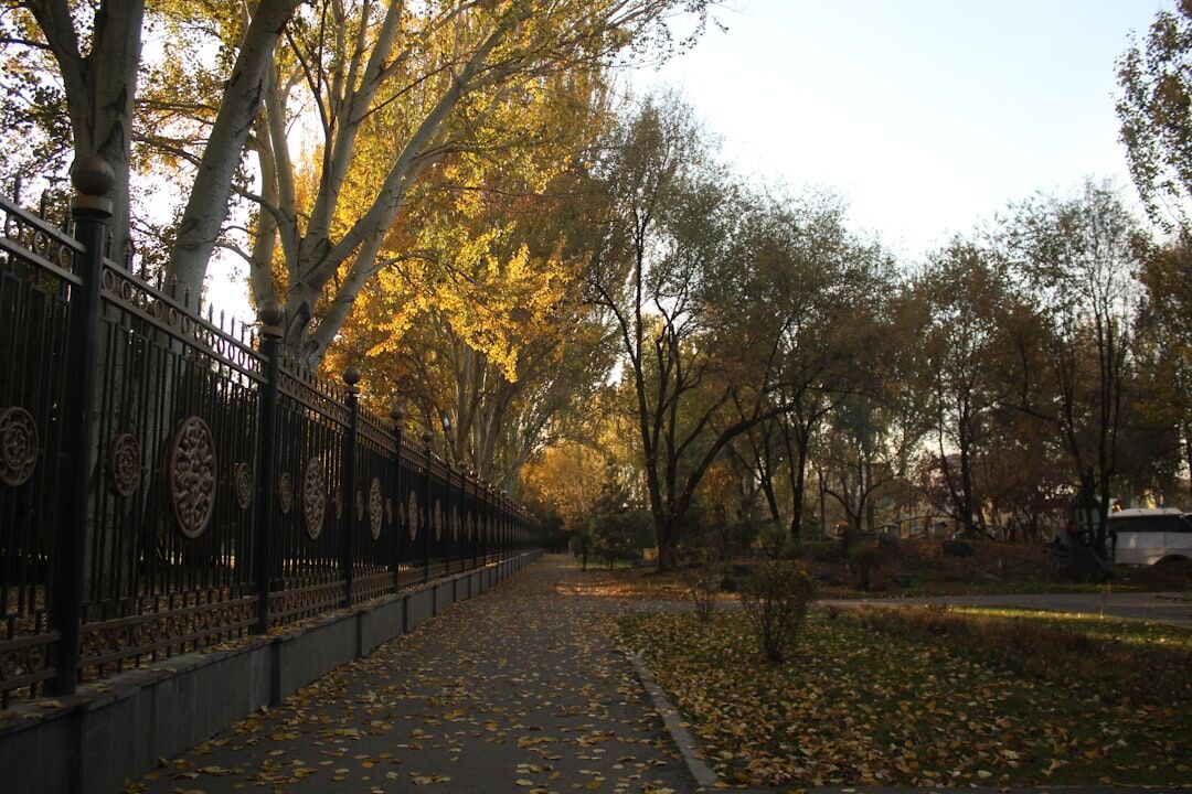 urban park with trees